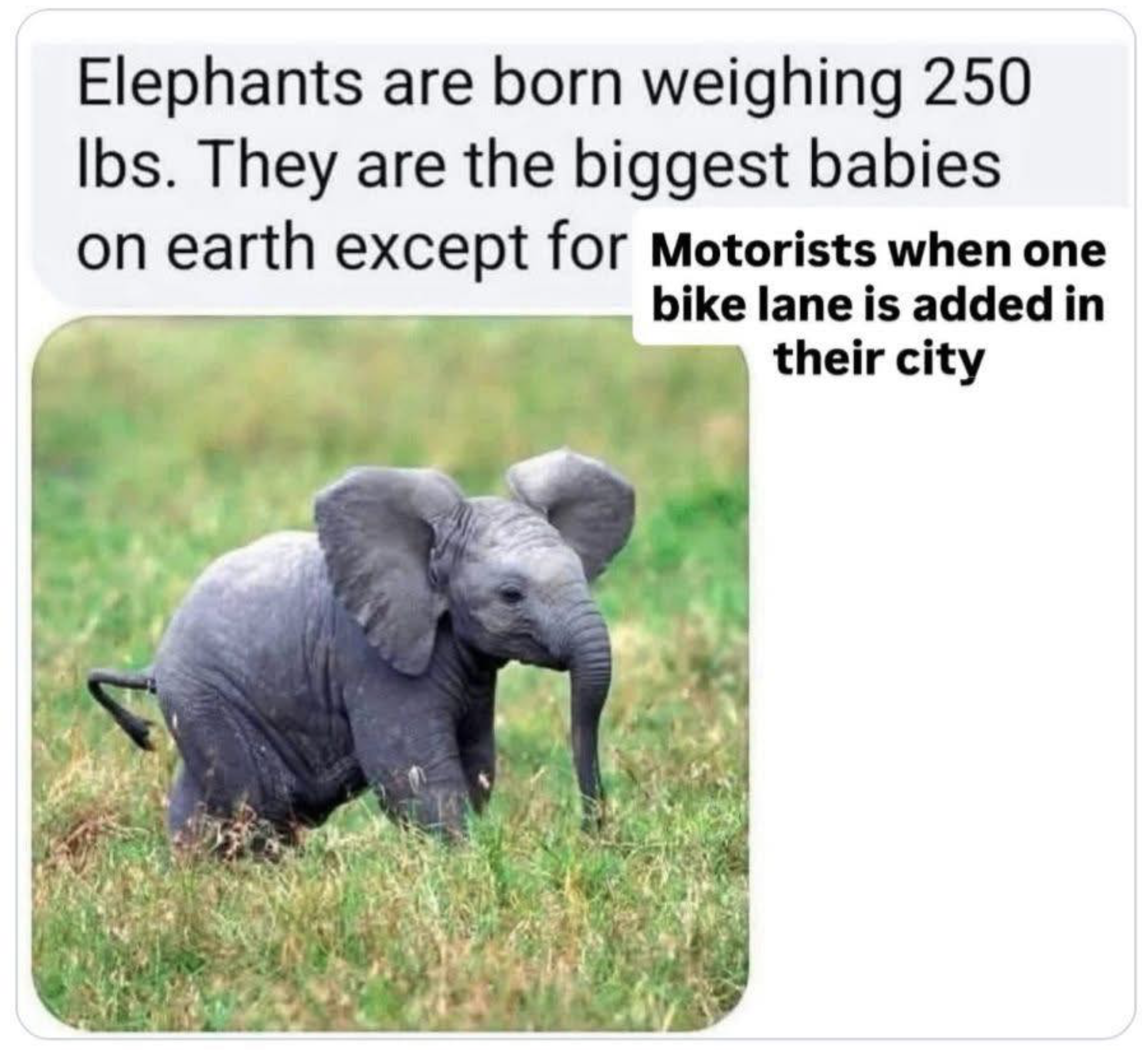 https://road.cc/wp-content/uploads/roadcc/Screenshot 2025-08-08 at 17.33.38.png
